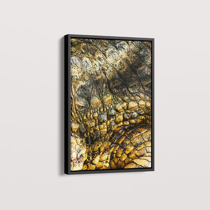 Quadro Zoologico 723 Por Thales Antonio