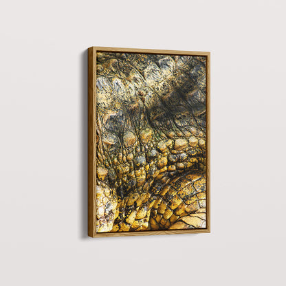 Quadro Zoologico 723 Por Thales Antonio