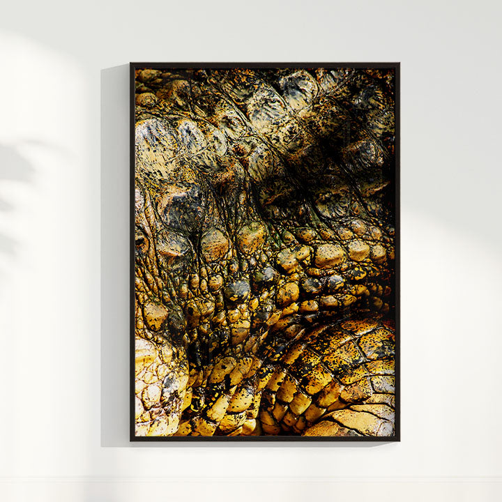 Quadro Zoologico 723 Por Thales Antonio