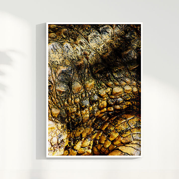 Quadro Zoologico 723 Por Thales Antonio