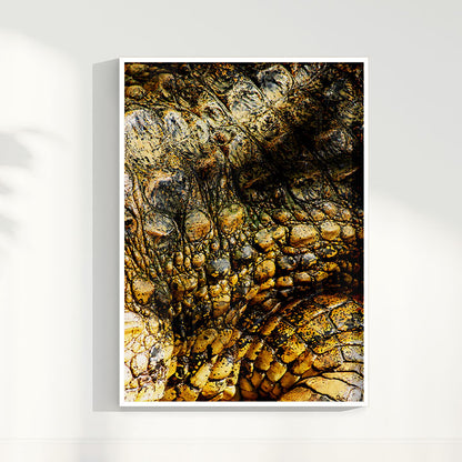 Quadro Zoologico 723 Por Thales Antonio