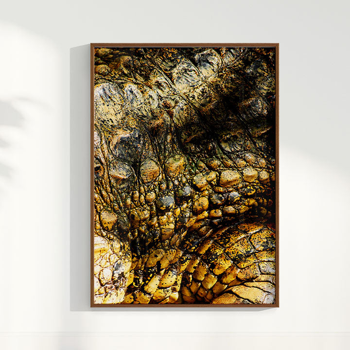 Quadro Zoologico 723 Por Thales Antonio