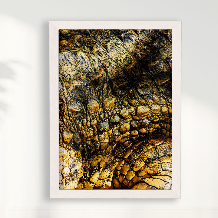 Quadro Zoologico 723 Por Thales Antonio