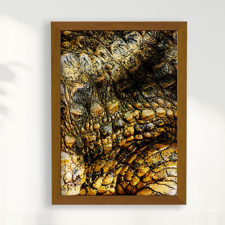 Quadro Zoologico 723 Por Thales Antonio