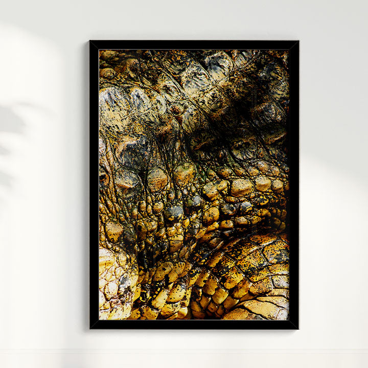 Quadro Zoologico 723 Por Thales Antonio