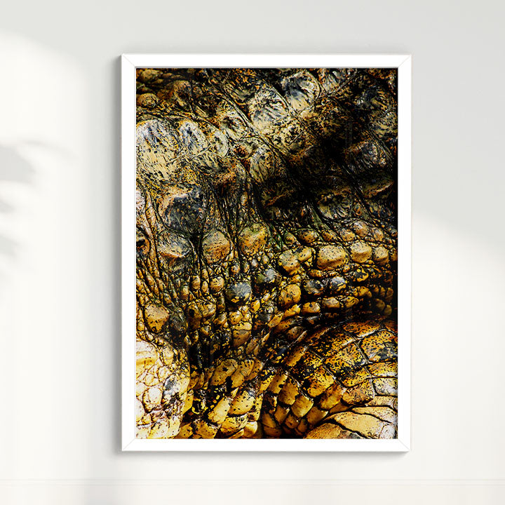 Quadro Zoologico 723 Por Thales Antonio