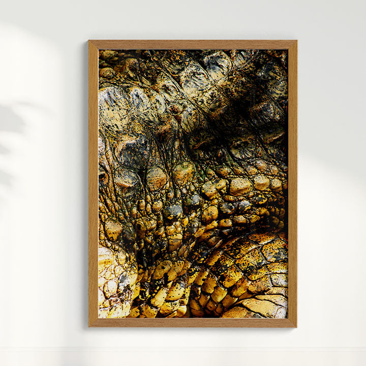Quadro Zoologico 723 Por Thales Antonio