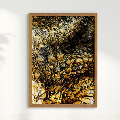 Quadro Zoologico 723 Por Thales Antonio