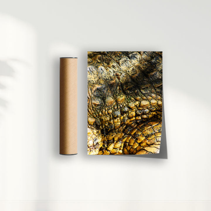Quadro Zoologico 723 Por Thales Antonio