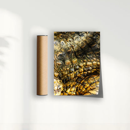 Quadro Zoologico 723 Por Thales Antonio