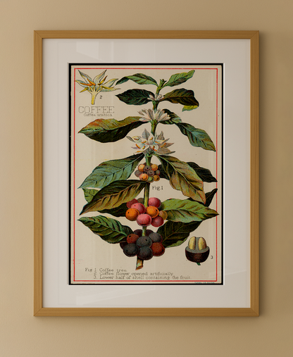 Composição de Quadros Café Vintage