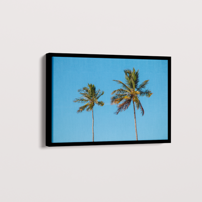 Quadro Dois coqueiros - Irmãos de Sol por Larissa Heitmann