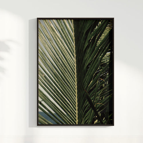 Quadro Rio Vermelho Folhas Por Thales Antonio