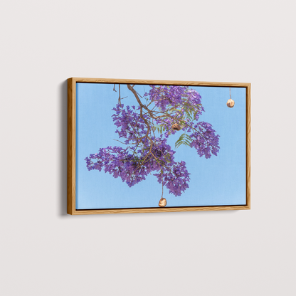 Quadro Flor de Jacarandá por Vanessa Zago