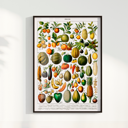 Quadro Fruits White - Frutas poster vintage