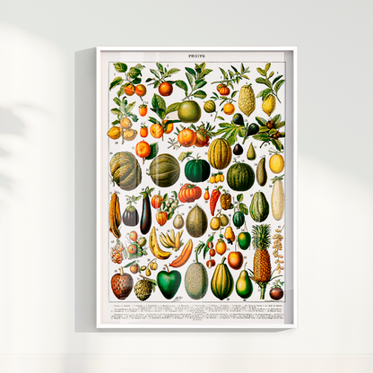 Quadro Fruits White - Frutas poster vintage
