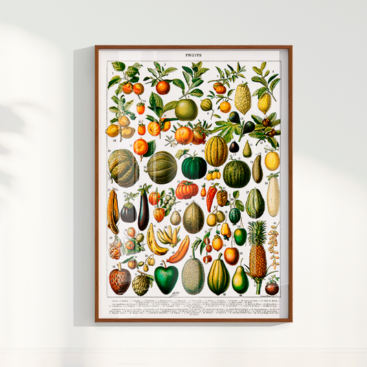 Quadro Fruits White - Frutas poster vintage