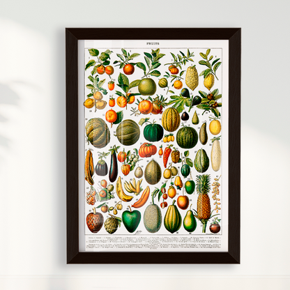 Quadro Fruits White - Frutas poster vintage