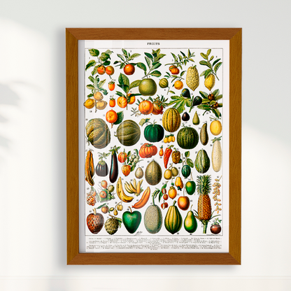 Quadro Fruits White - Frutas poster vintage