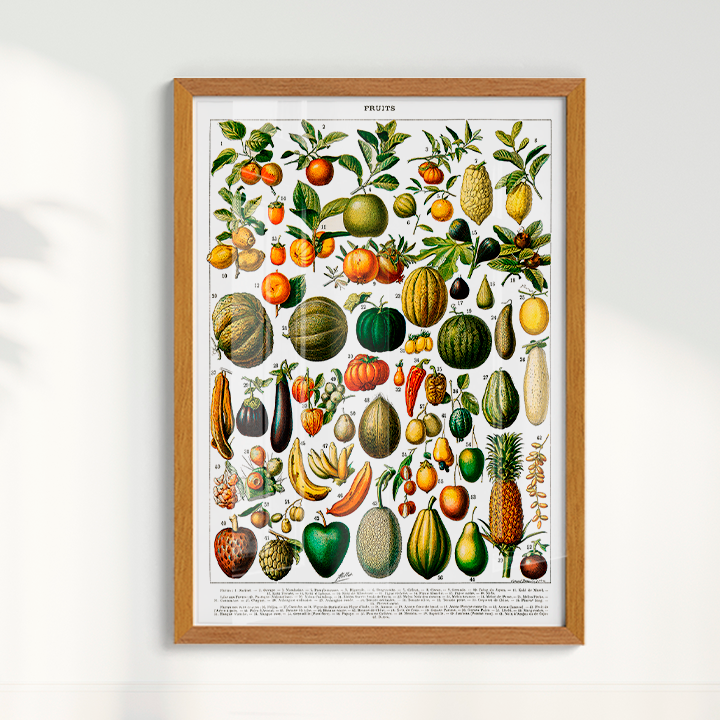 Quadro Fruits White - Frutas poster vintage
