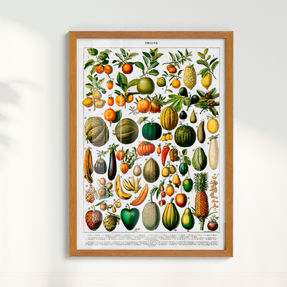 Quadro Fruits White - Frutas poster vintage
