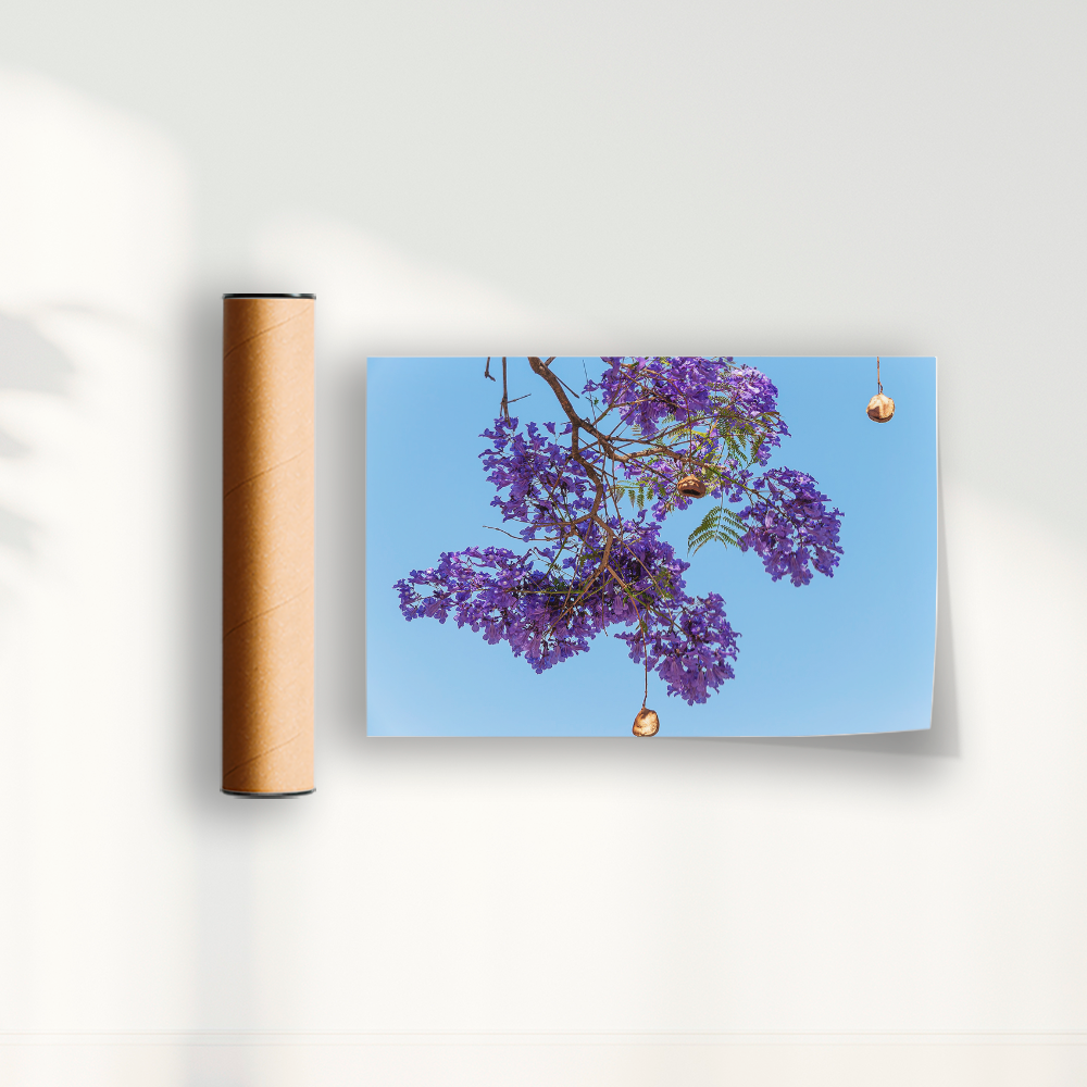 Quadro Flor de Jacarandá por Vanessa Zago