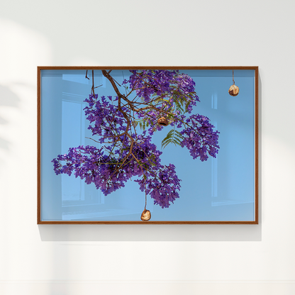 Quadro Flor de Jacarandá por Vanessa Zago