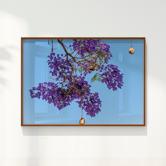 Quadro Flor de Jacarandá por Vanessa Zago