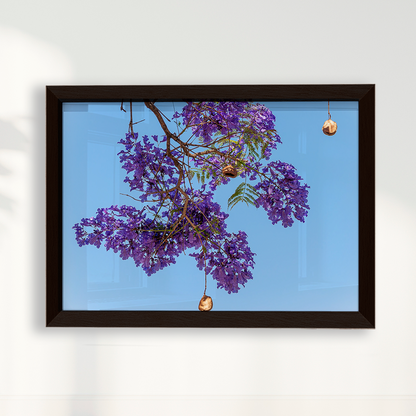 Quadro Flor de Jacarandá por Vanessa Zago