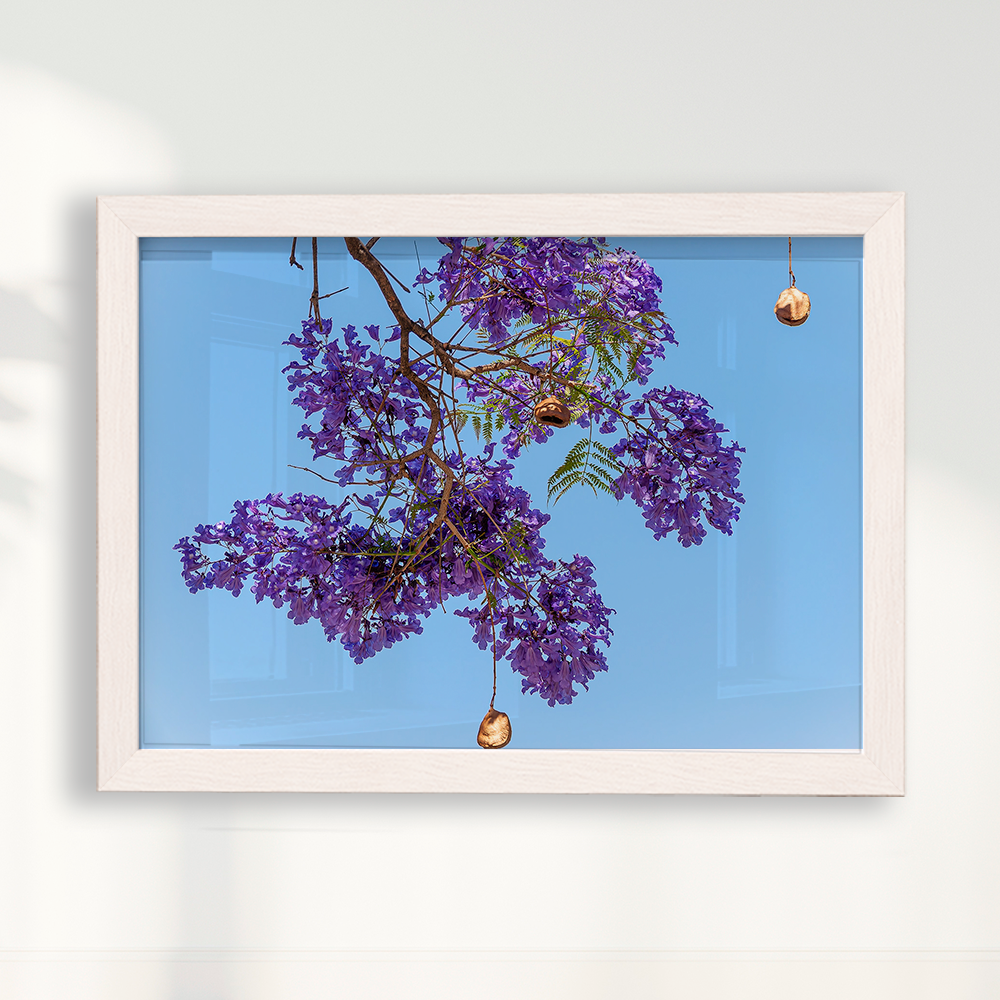 Quadro Flor de Jacarandá por Vanessa Zago