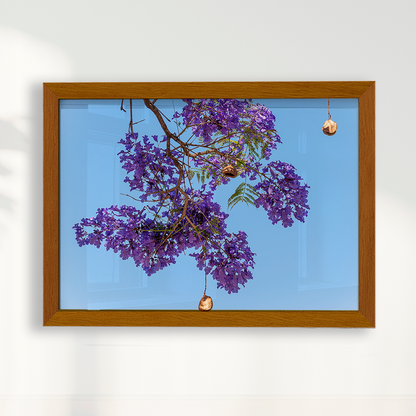 Quadro Flor de Jacarandá por Vanessa Zago