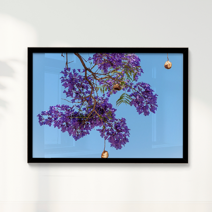 Quadro Flor de Jacarandá por Vanessa Zago