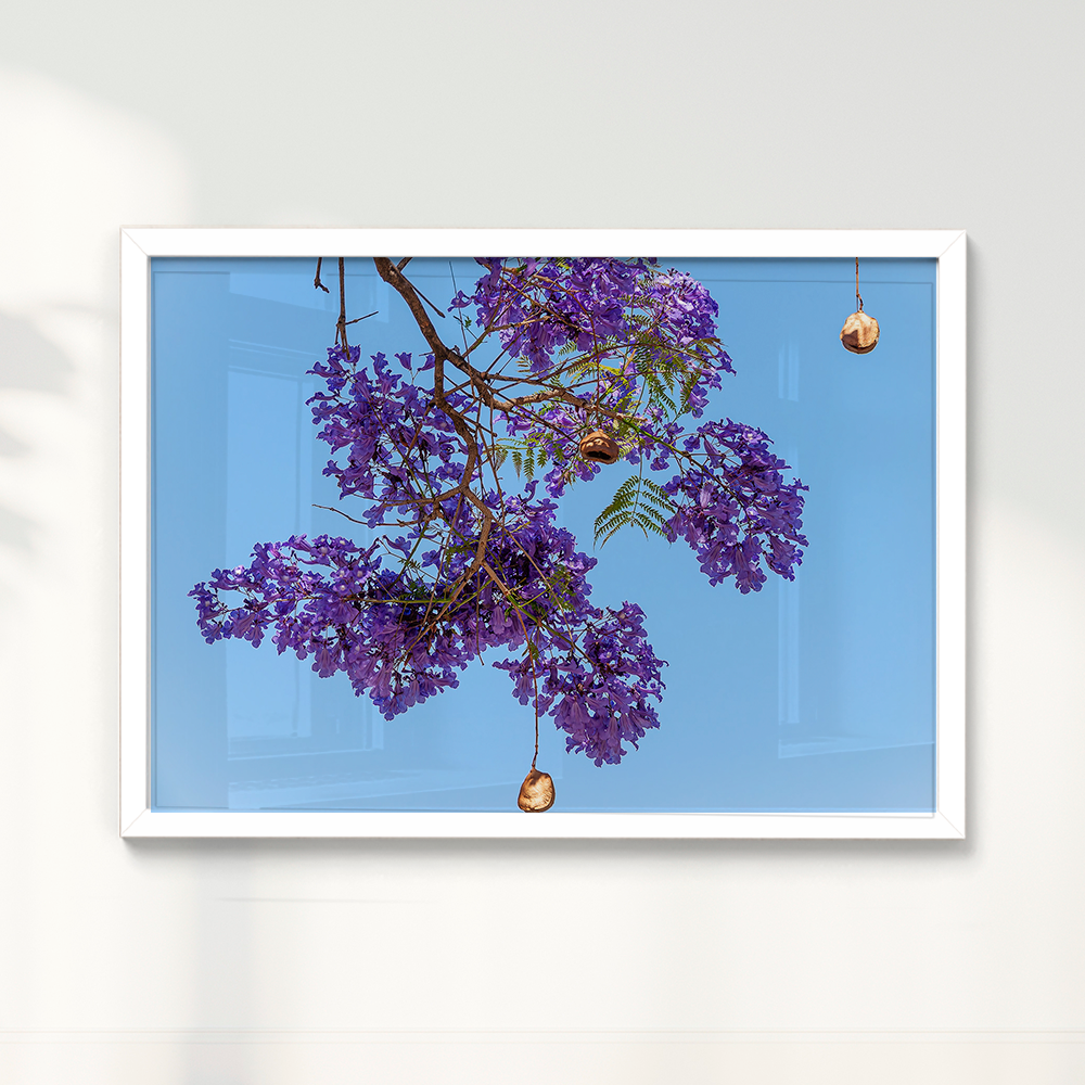 Quadro Flor de Jacarandá por Vanessa Zago
