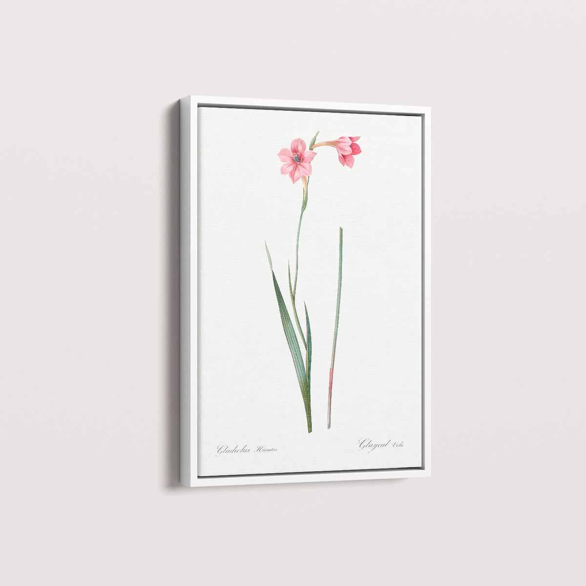 Quadro Floral Vintage - Lily