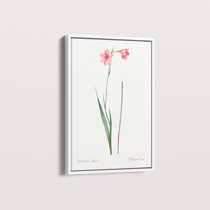 Quadro Floral Vintage - Lily