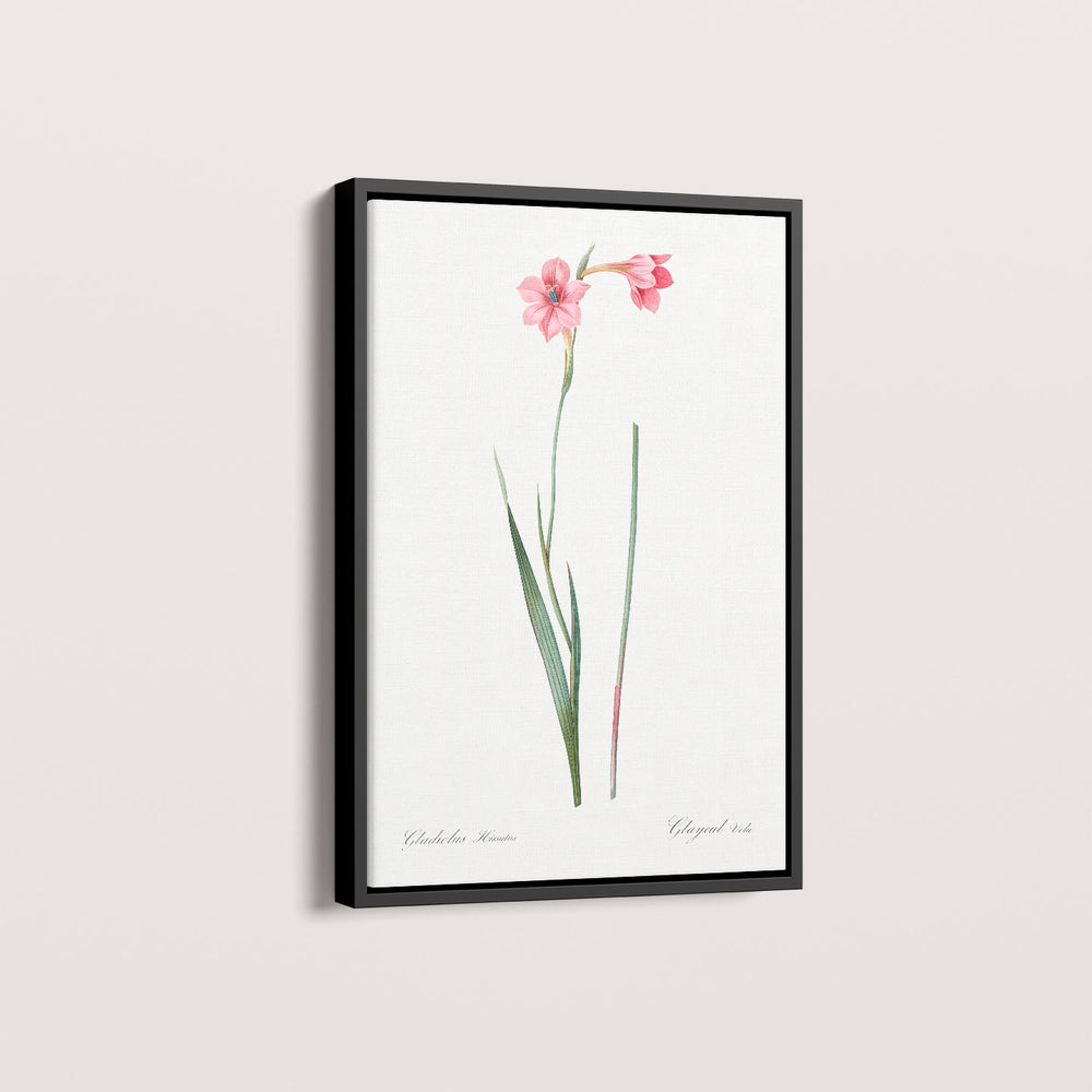 Quadro Floral Vintage - Lily