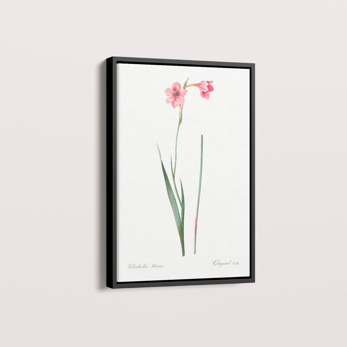 Quadro Floral Vintage - Lily