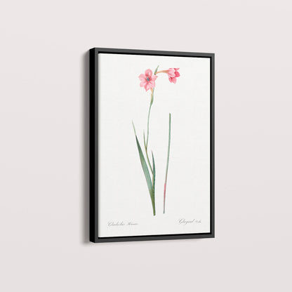 Quadro Floral Vintage - Lily