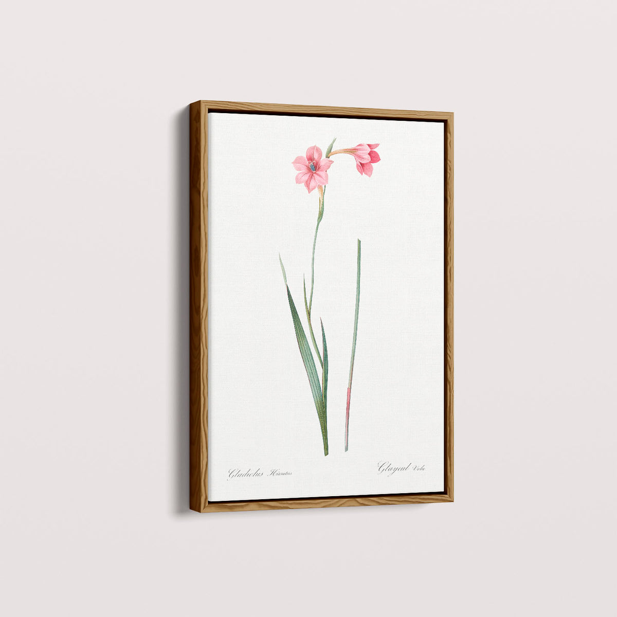 Quadro Floral Vintage - Lily