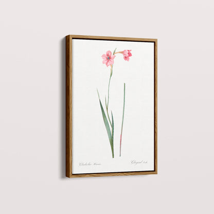 Quadro Floral Vintage - Lily