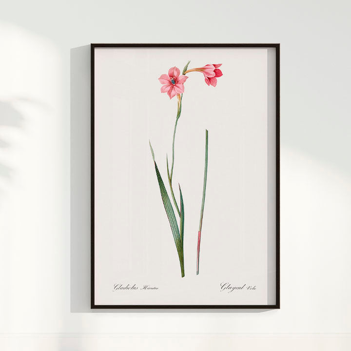 Quadro Floral Vintage - Lily