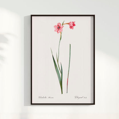 Quadro Floral Vintage - Lily