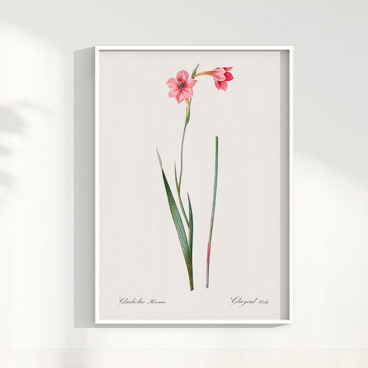 Quadro Floral Vintage - Lily
