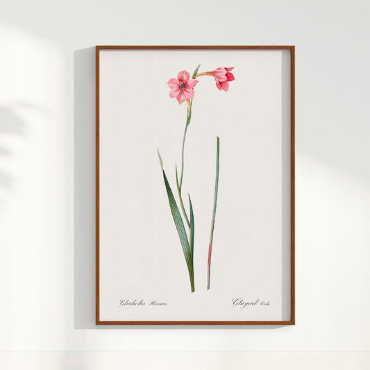 Quadro Floral Vintage - Lily