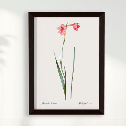 Quadro Floral Vintage - Lily