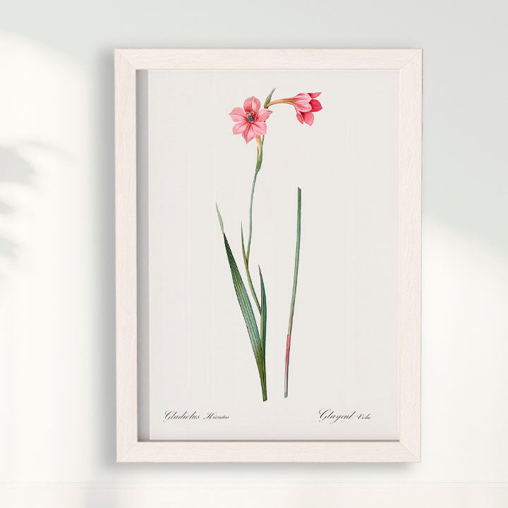 Quadro Floral Vintage - Lily