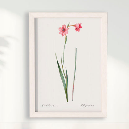Quadro Floral Vintage - Lily