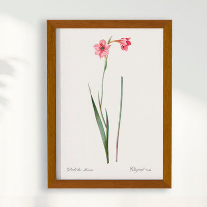 Quadro Floral Vintage - Lily