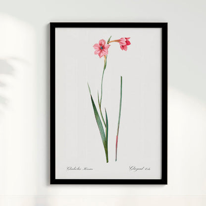 Quadro Floral Vintage - Lily