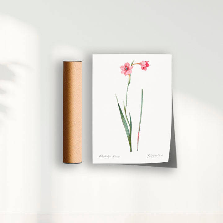 Quadro Floral Vintage - Lily